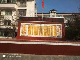 无忧国际wy6999